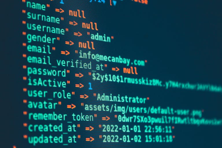 The Power of Structured Data & Schema Markup: Expanding Search Visibility & SEO 4 Text on Computer Monitor